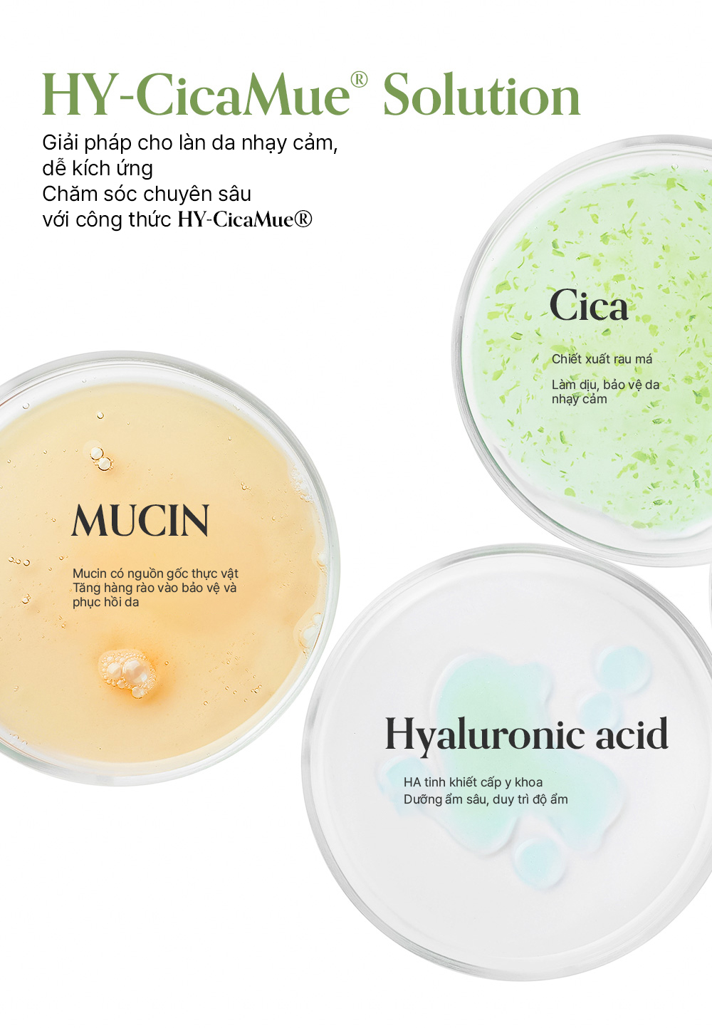 Mặt nạ phục hồi, giảm kích ứng, làm sáng elravie HyCicaMue Recovery Mask 25ml/miếng_thumbnail_5