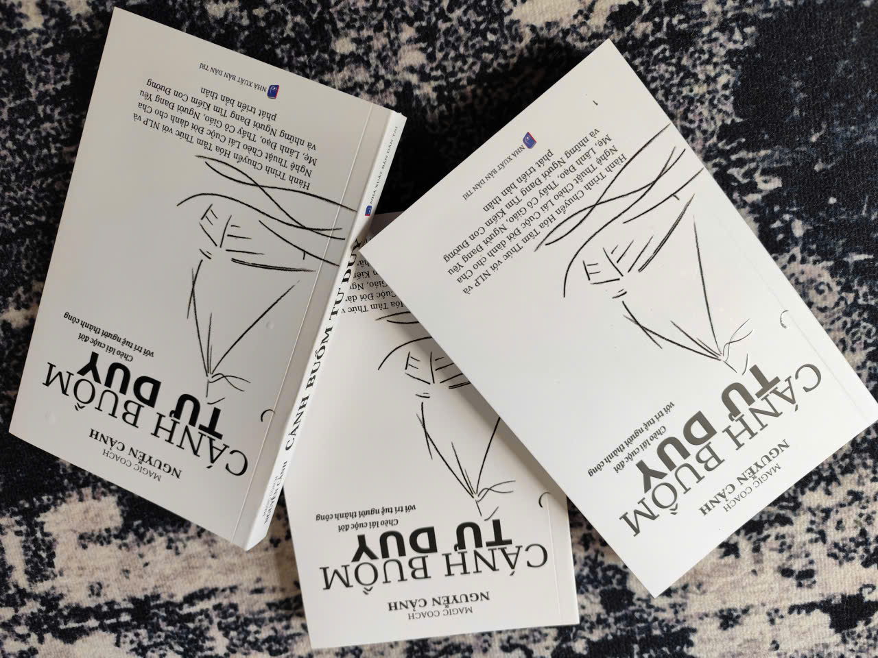 Combo 3 quyển sách "Cánh buồm tư duy"