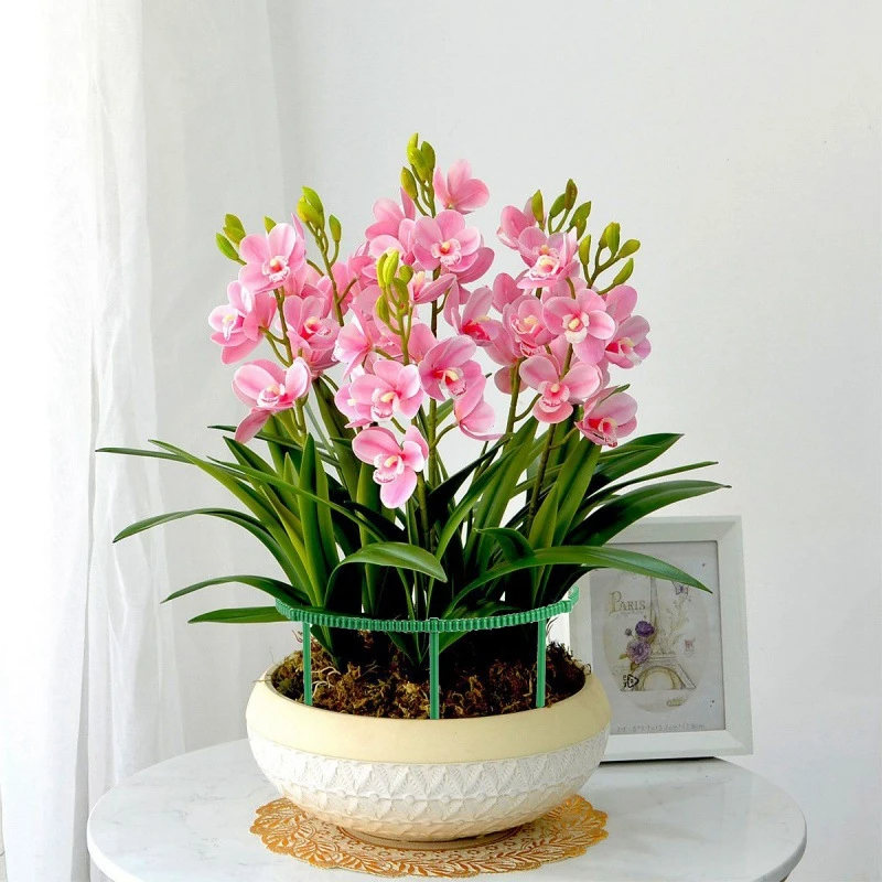 Khung Đỡ Bảo Vệ Cây