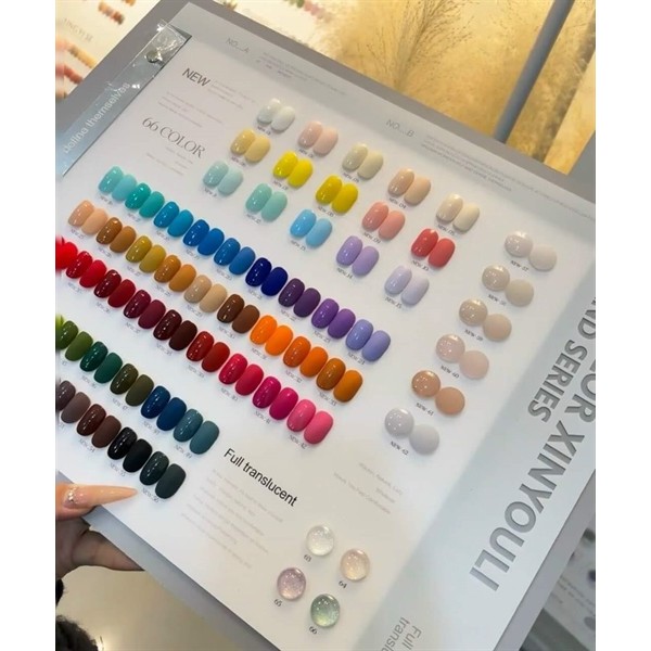 Set sơn gel - 66 màu - XINYOULI