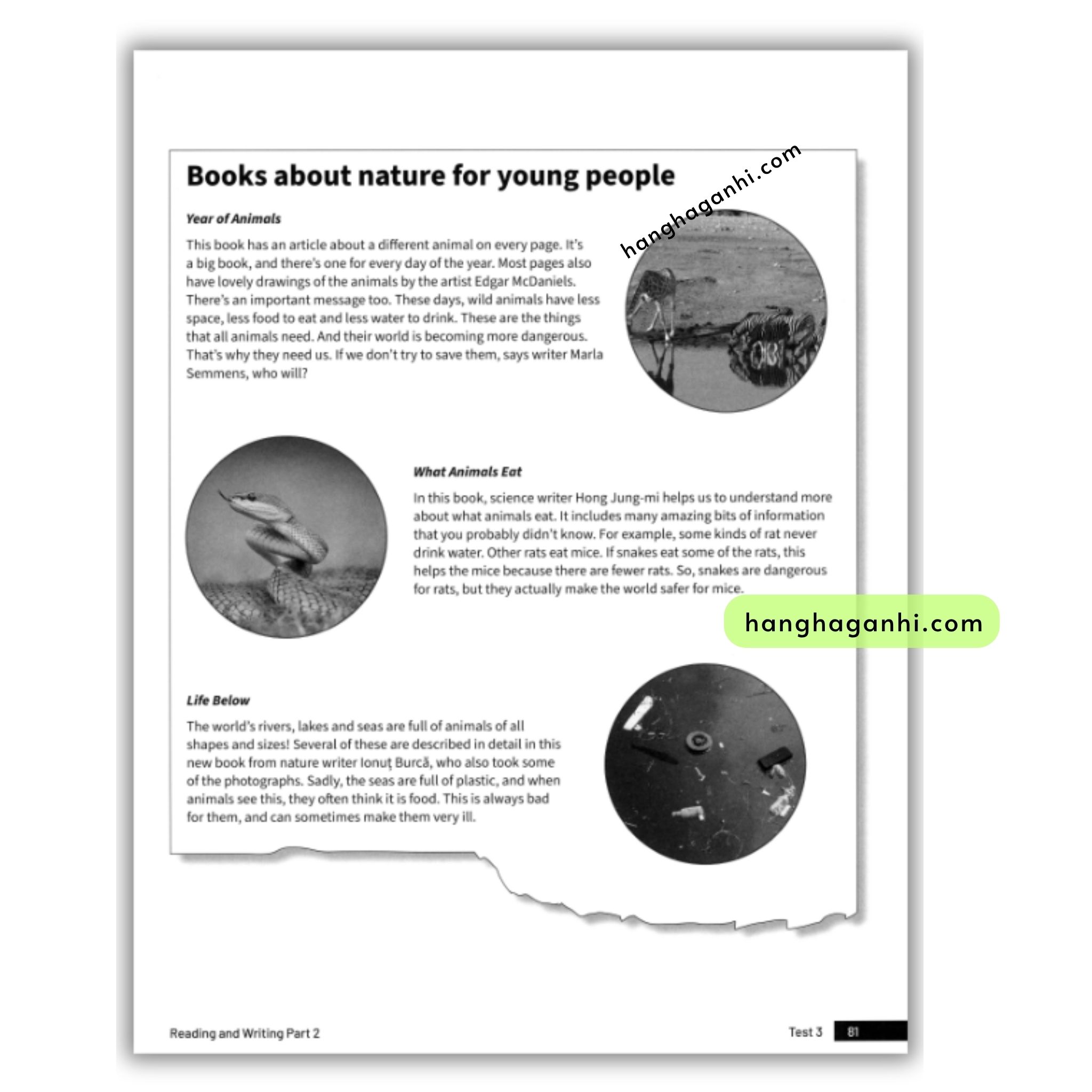 A2 Key for Schools Trainer 2 for the Revised Exam from 2020 Six Practice Tests with Answers and Teacher’s Notes ( Second Edition)_thumbnail_3