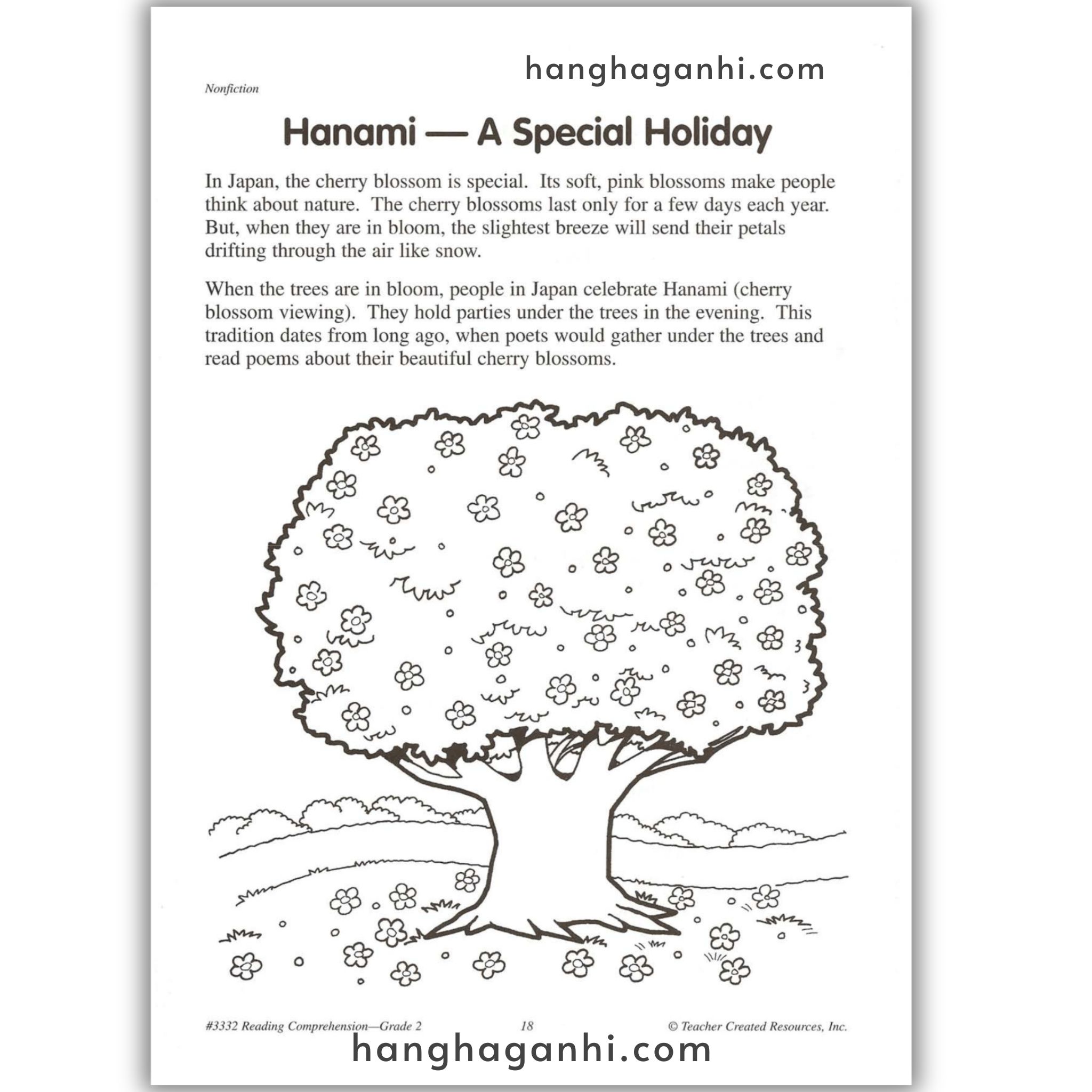 Reading Comprehension Grade 2 Teacher Created Resources, sách đọc hiểu lớp 2_thumbnail_18