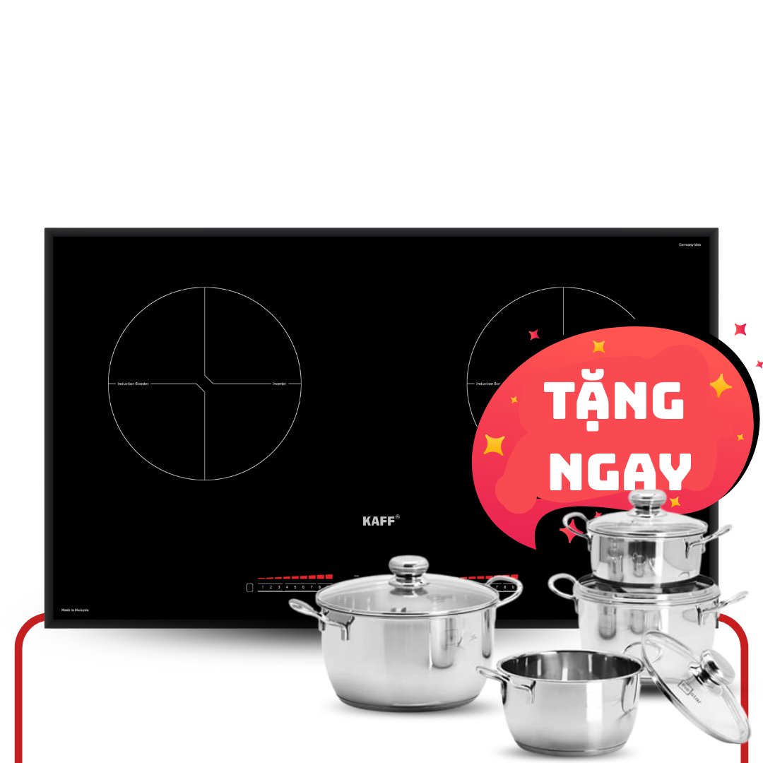 Bếp 2 từ KF - FL808II