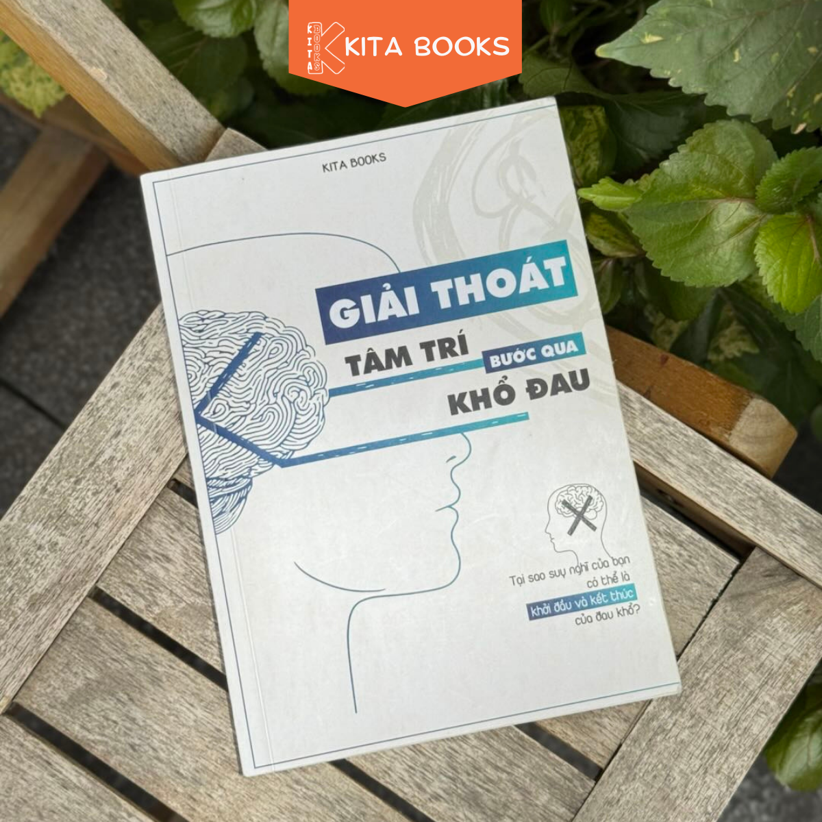 GIẢI THOÁT TÂM TRÍ BƯỚC QUA KHỔ ĐAU