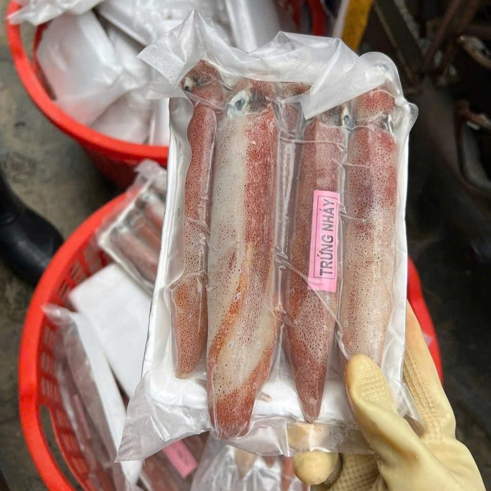 Mực Trứng Nháy_thumbnail_0