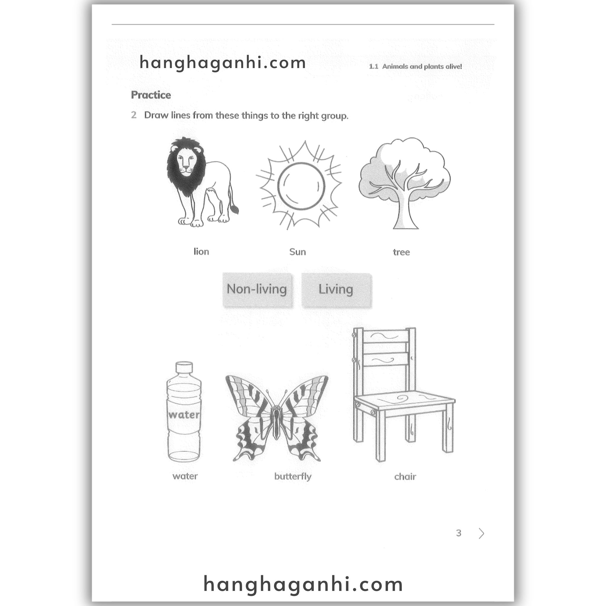 Cambridge Level 1 Primary Science Learner’s Book and Workbook 2nd edition 2021_thumbnail_11