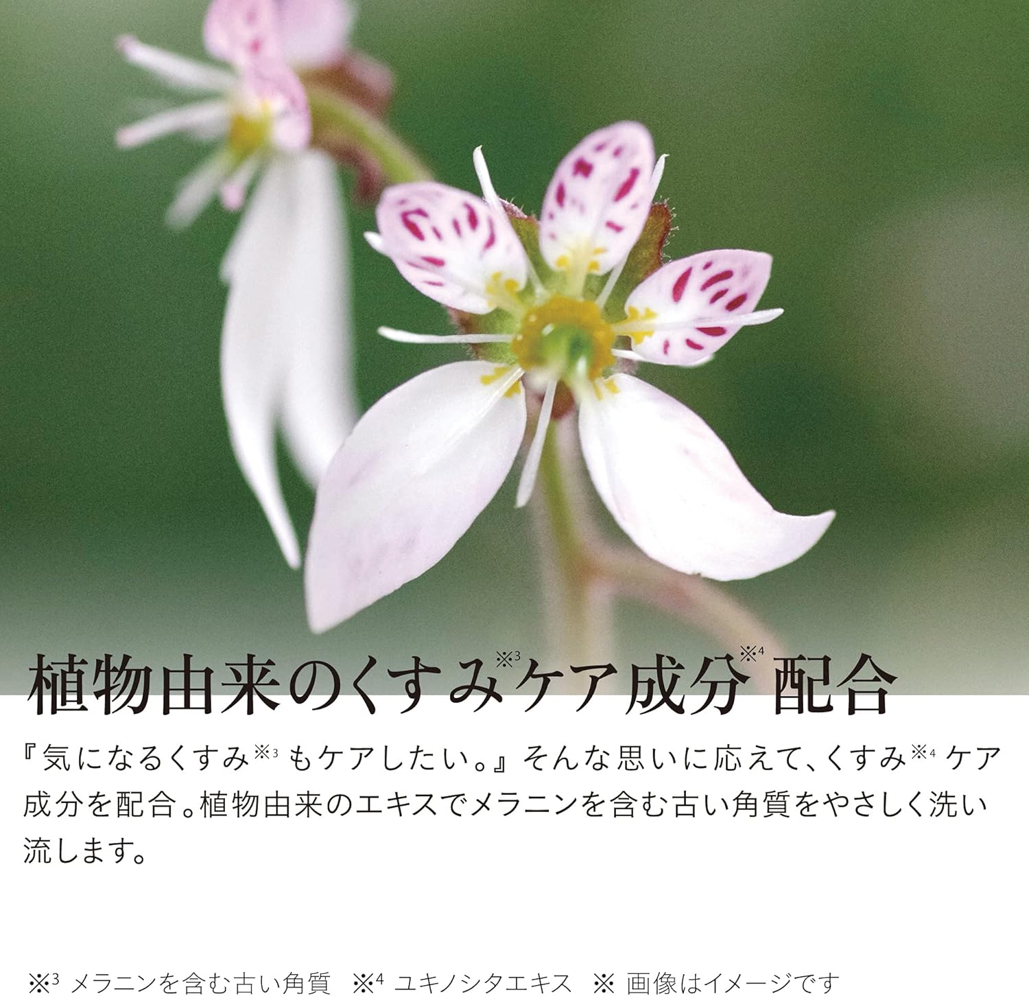 Dung dịch vệ sinh phụ nữ Iroha ( hương cam quýt)_thumbnail_6