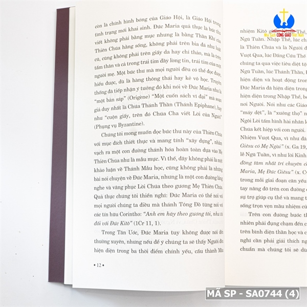 Đức Maria Và Niềm Hy Vọng_thumbnail_2