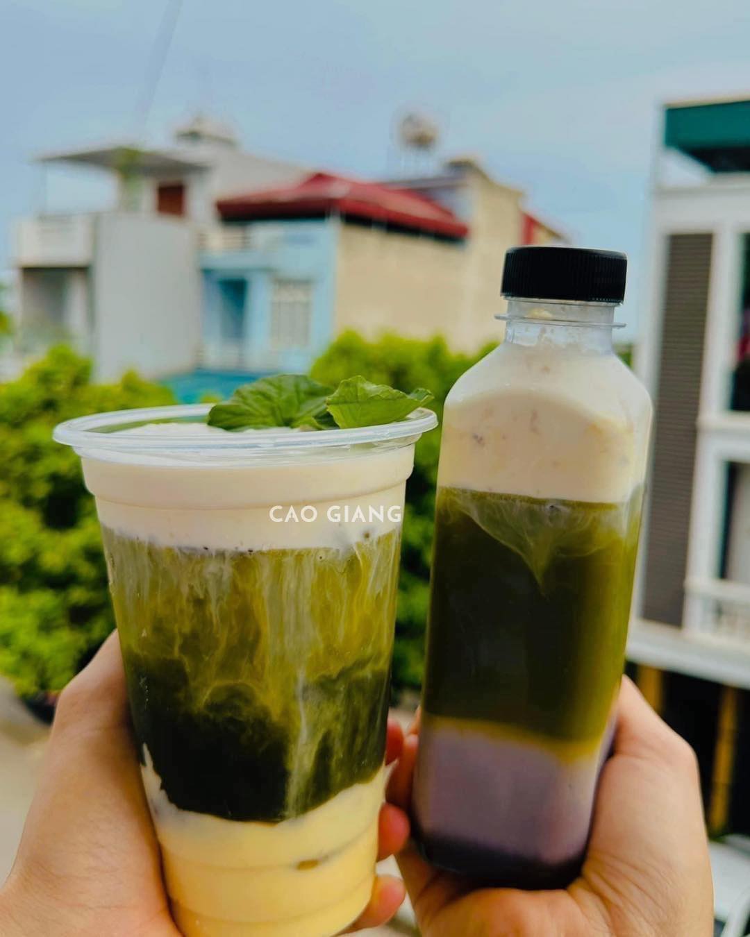 Lớp Đậu Xanh Rau Má_thumbnail_2