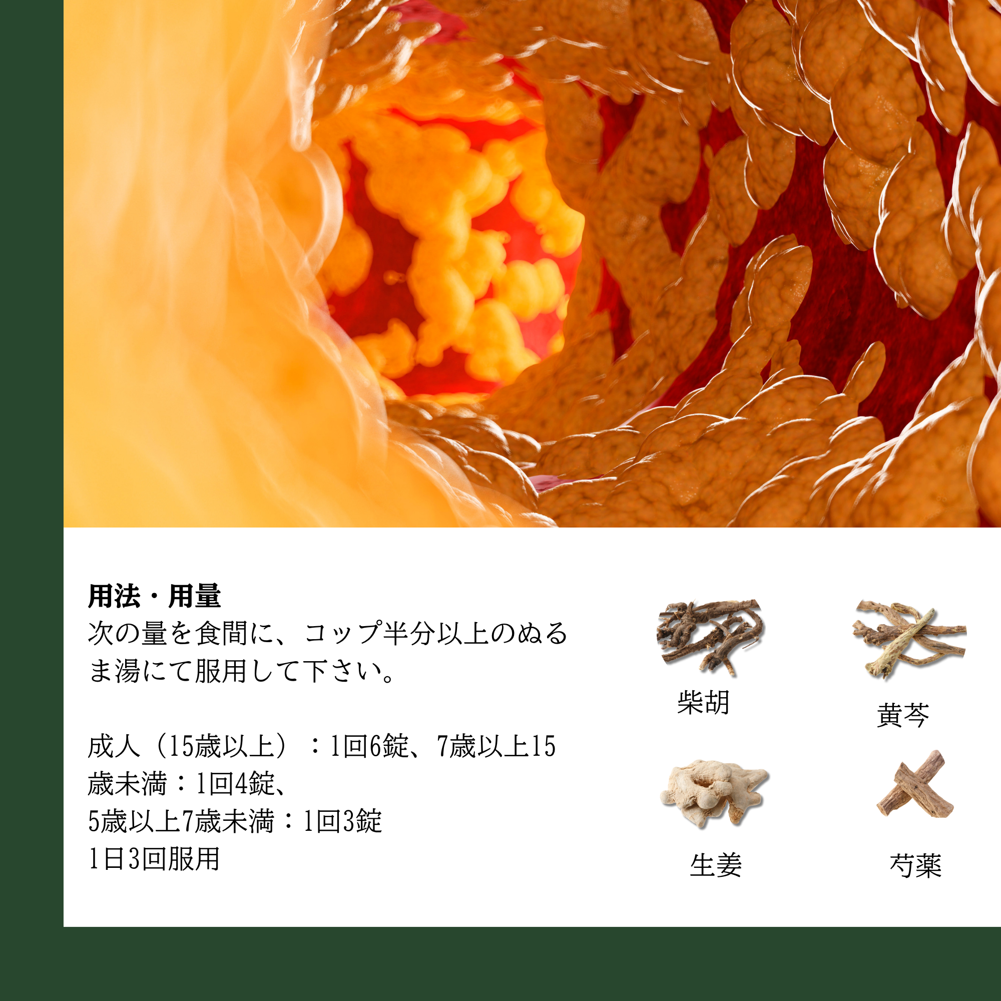 KANPO 210 – Men gan, mỡ máu, gout ( gút)_thumbnail_3