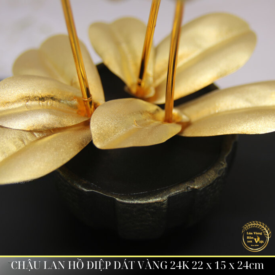 CHẬU LAN HỒ ĐIỆP DÁT VÀNG 24K 22x15x24cm_thumbnail_5