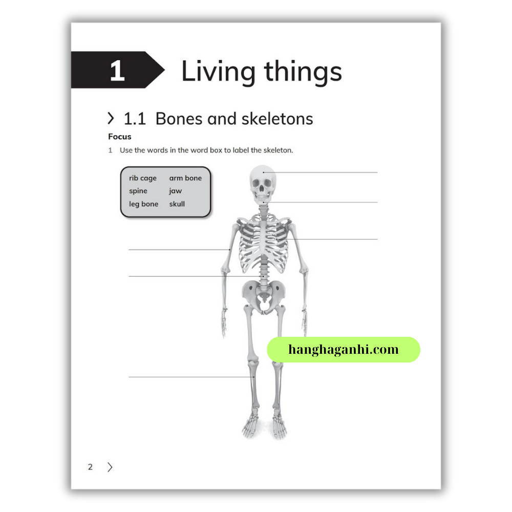 Cambridge Song Ngữ bậc Tiểu học – KHOA HỌC – Sách bài tập 4 – Quyển 1&2_thumbnail_8