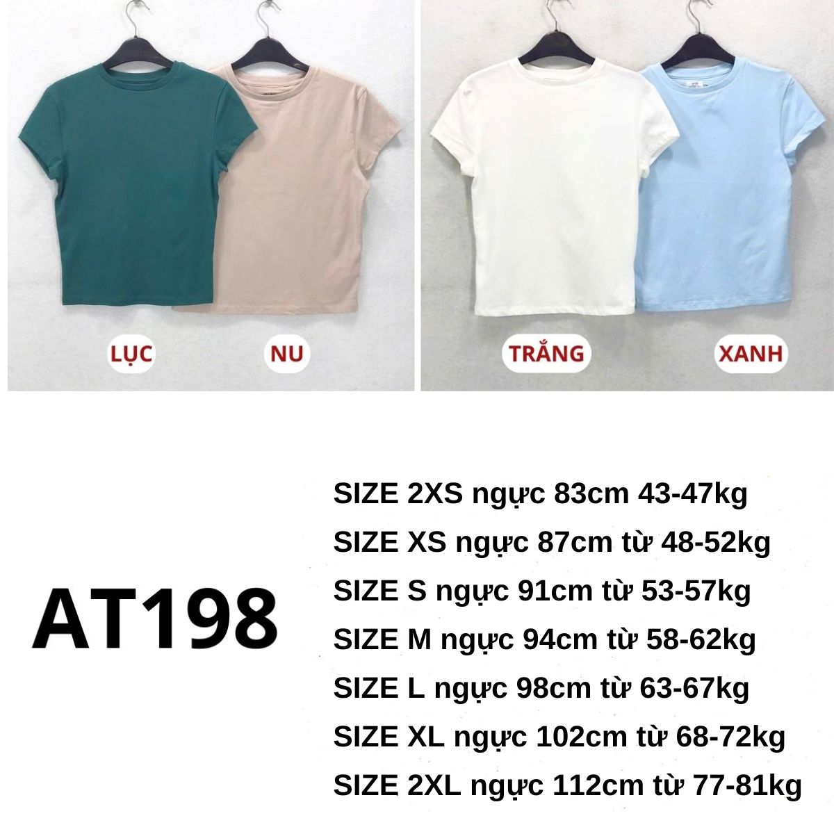 AT198- Áo thun