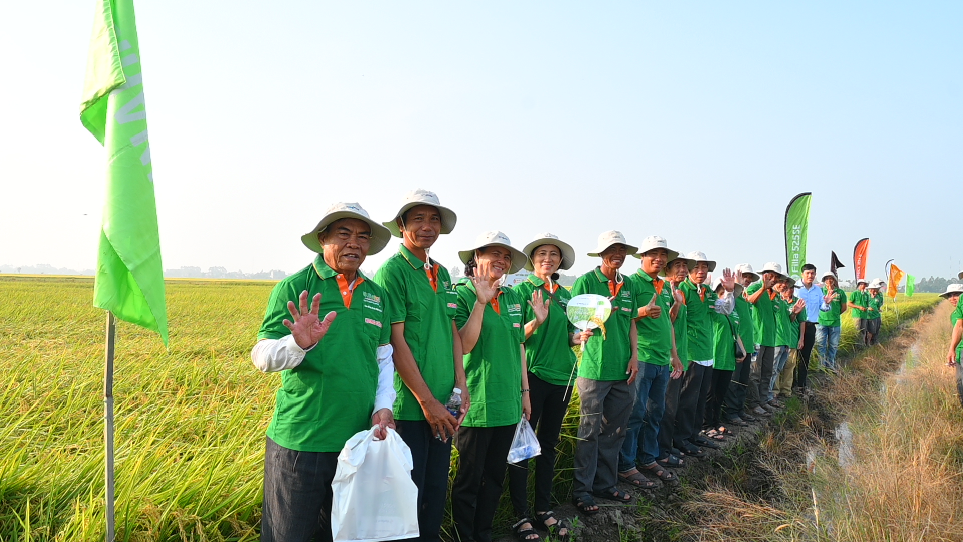 DS1 Vinarice: Winning Farmers' Hearts in Vietnam's Japanese Rice Capital – Hon Dat, Kien Giang