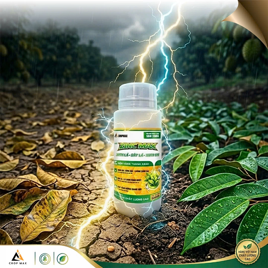 ZINC MAX – Giải pháp vi lượng toàn diện, xanh lá – dày lá – hết vàng lá_thumbnail_3