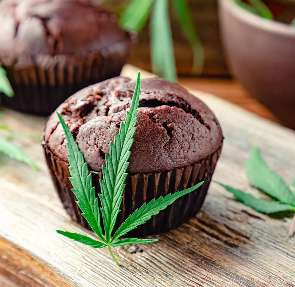 Making CBD-Infused Pastries And Cupcakes