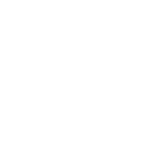 policy2-300x300