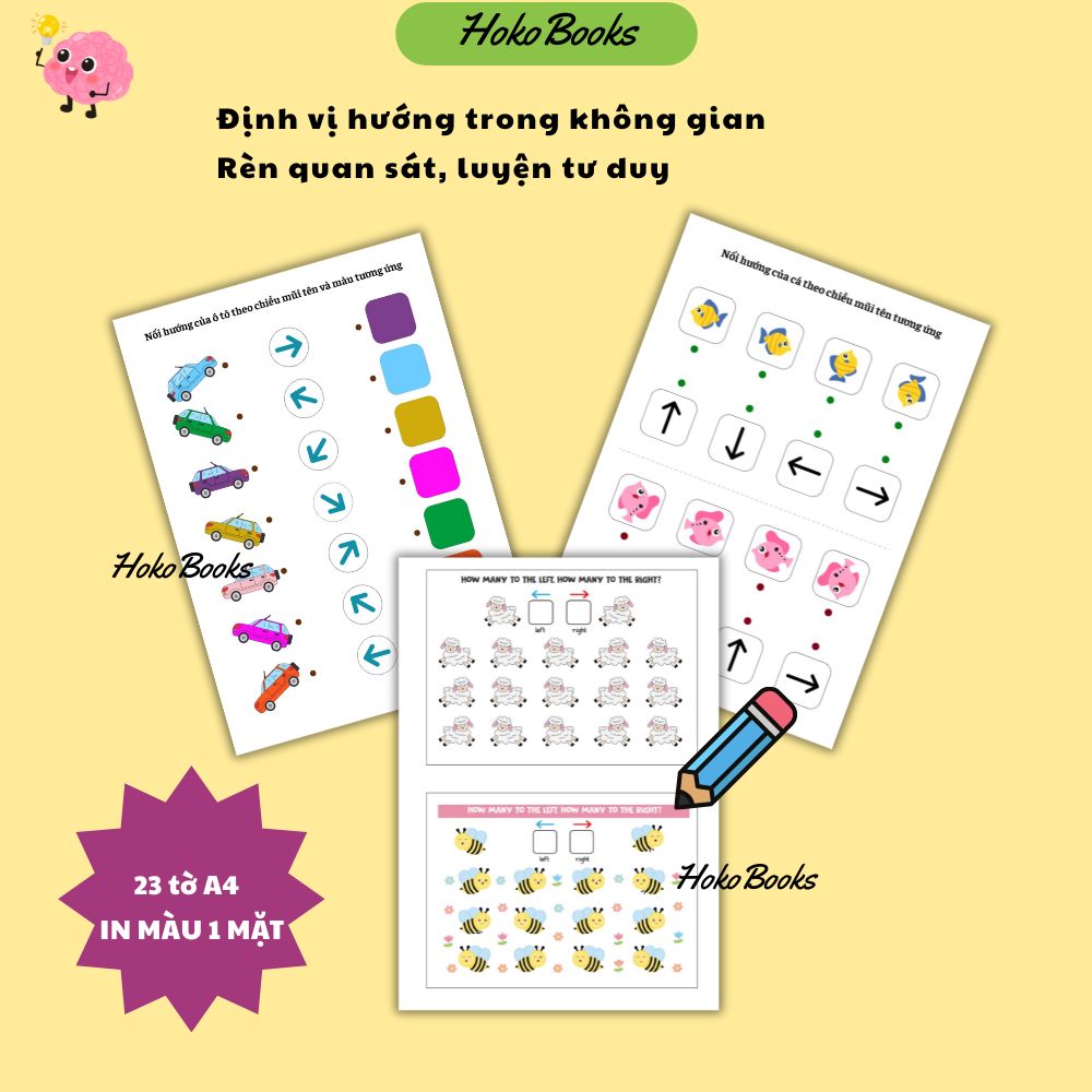 HL3 Bộ 23 tờ Học liệu định vị hướng IN A4 1 MẶT, KHÔNG ÉP PLASTIC, KHÔNG ĐÓNG QUYỂN