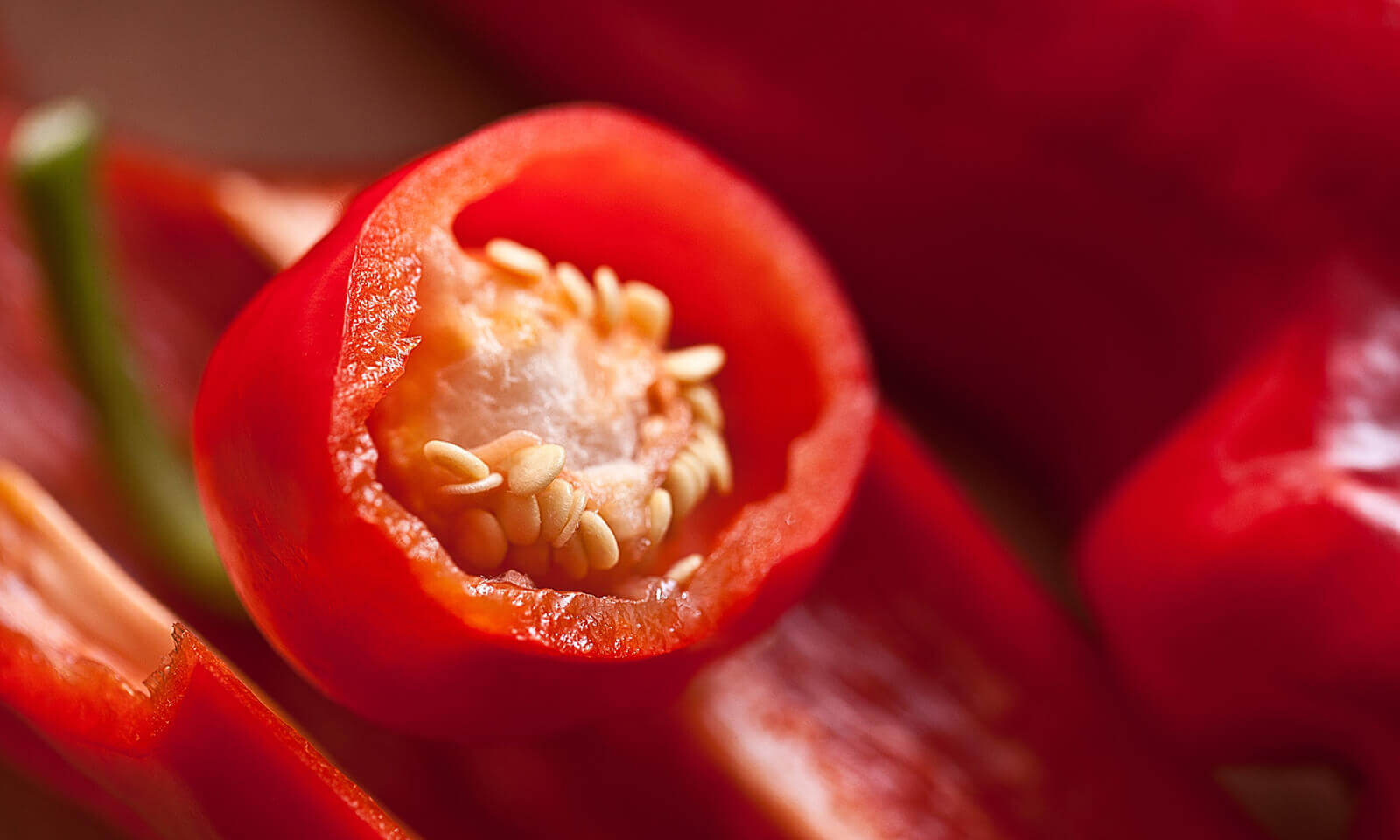 Curabitur Lobortis News