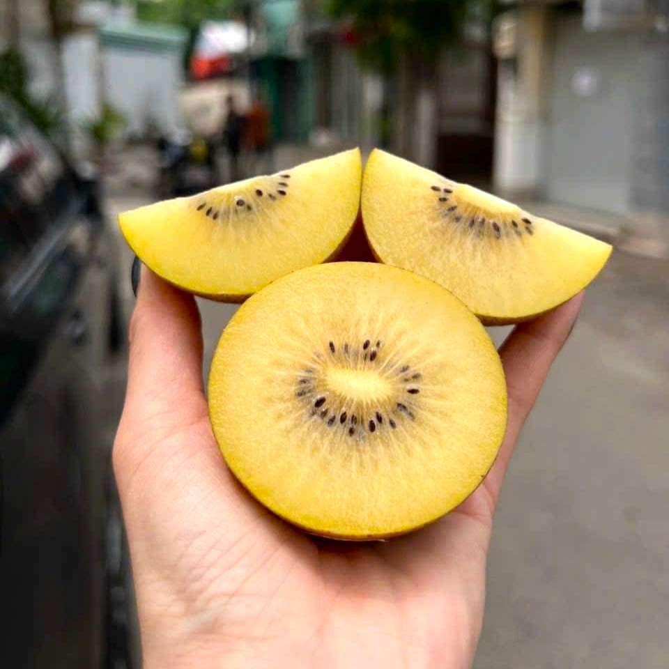 Kiwi Vàng_thumbnail_3