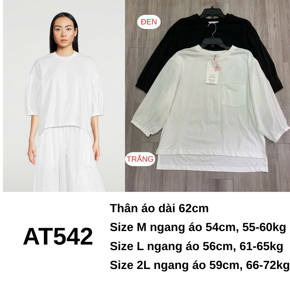 AT542 ÁO NHẬT_thumbnail_5