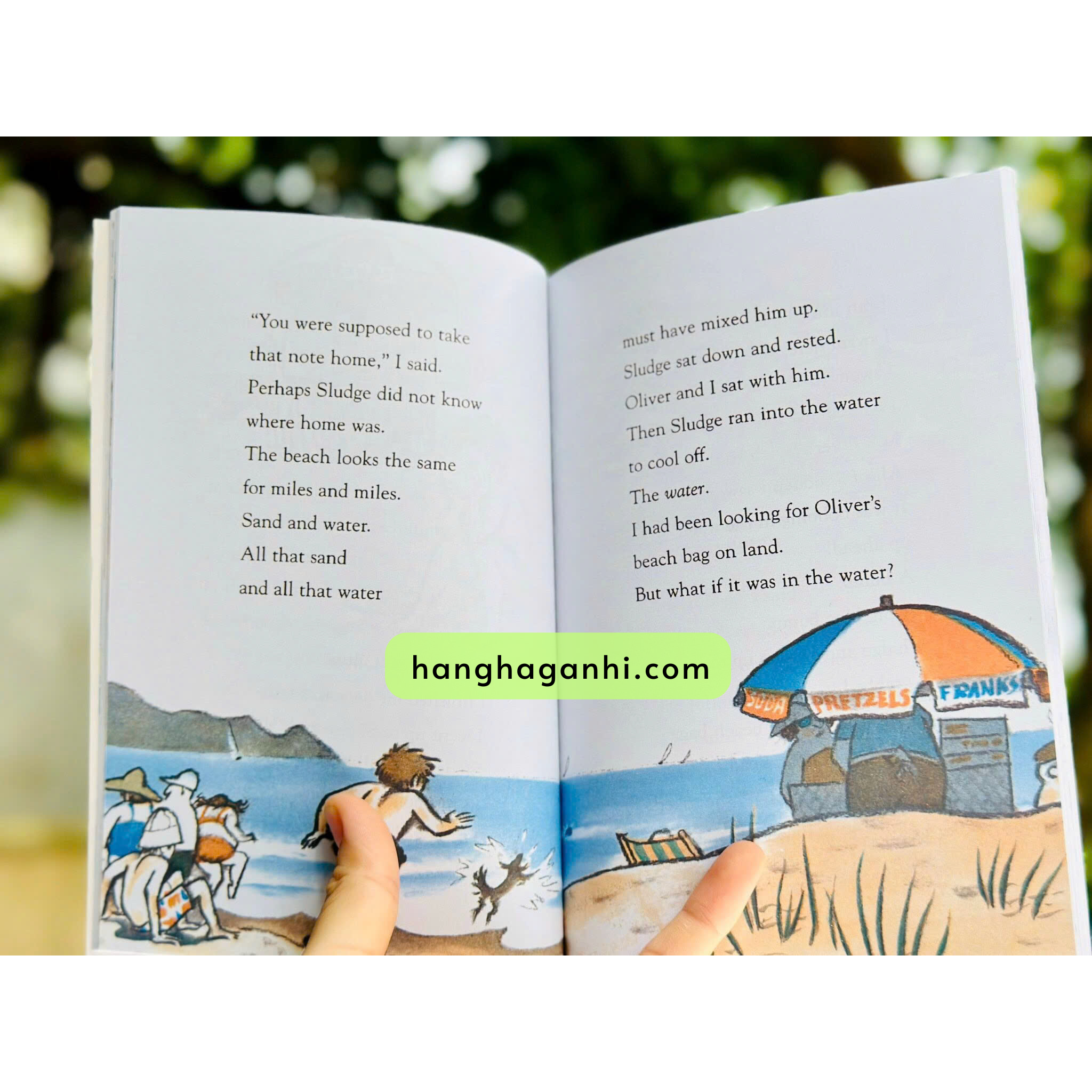 Bộ Nate the Great nhập khẩu 29 cuốn_thumbnail_7