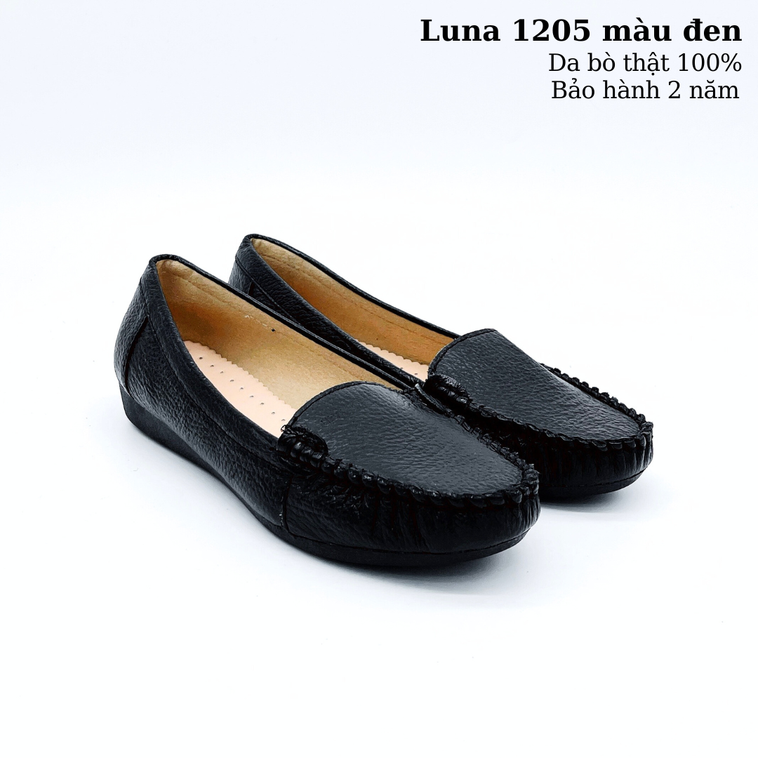 Luna 1205