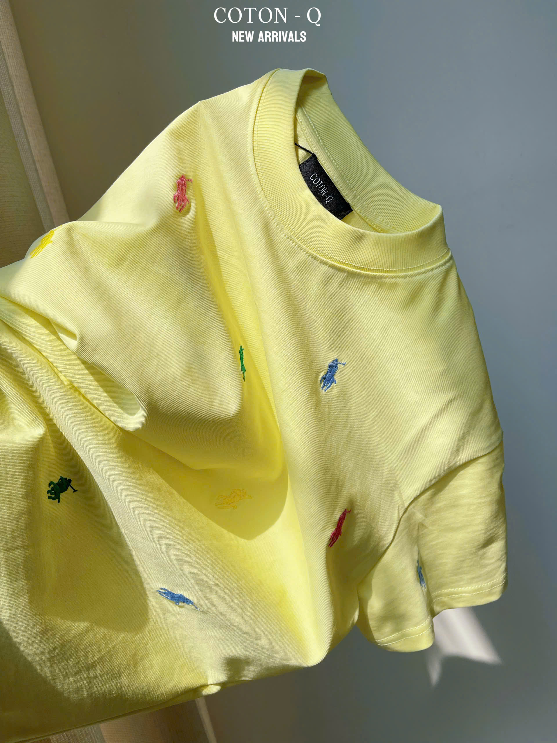 Áo thun thêu ngựa ( NGẪU NHIÊN )_thumbnail_3