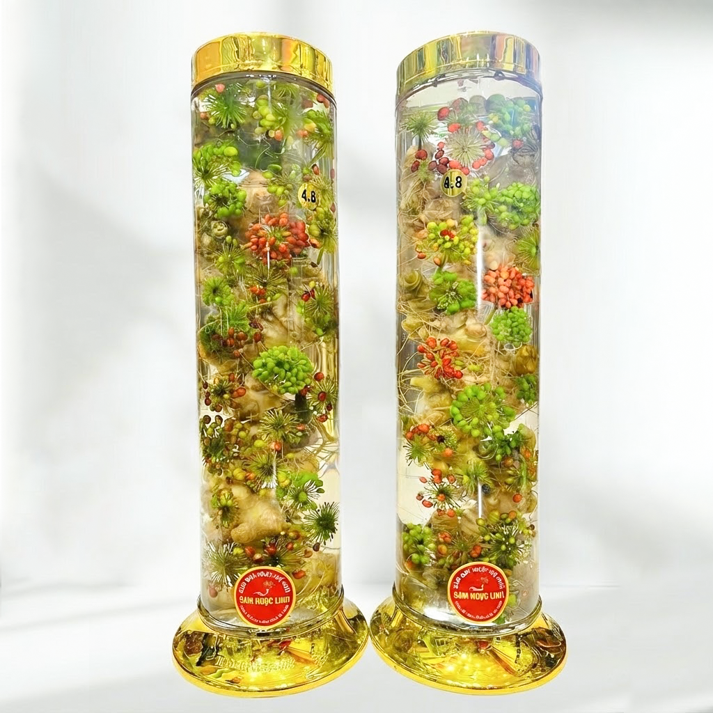 SÂM NGỌC LINH BONSAI 4,8L (Liên hệ báo giá)