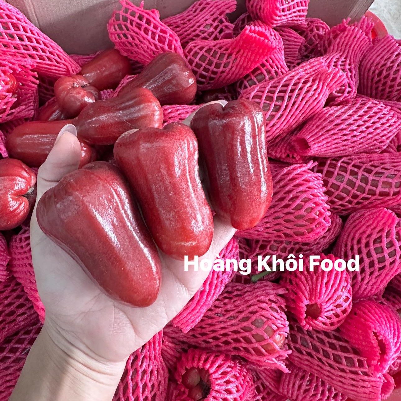 Mận An Phước_thumbnail_0