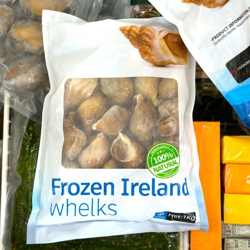 Ốc Bulot Ireland Anh