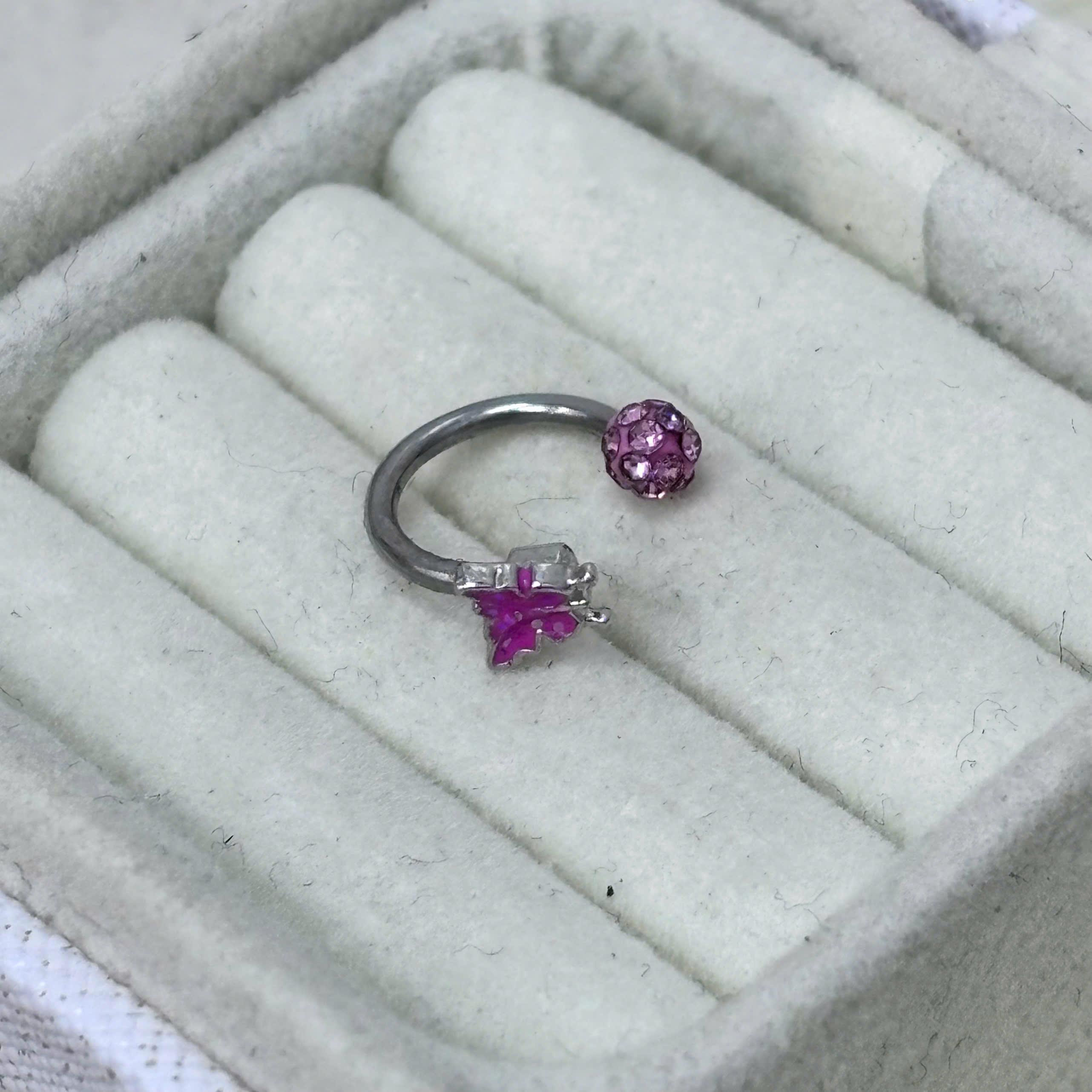 Septum bướm bi hồng._thumbnail_1