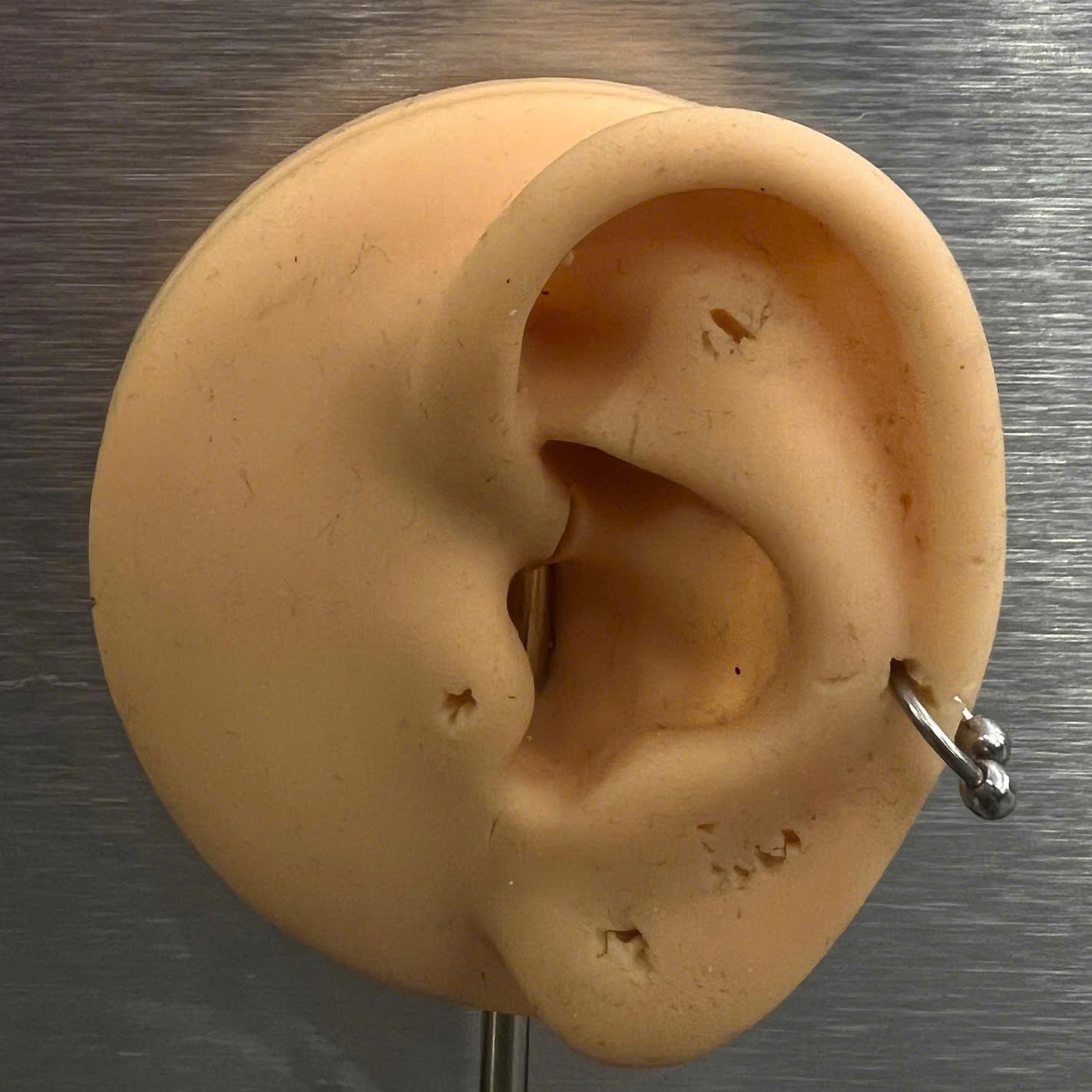 Septum cơ bản 8._thumbnail_3