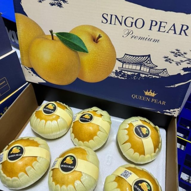 Lê Nâu (Queen Pear)_thumbnail_3