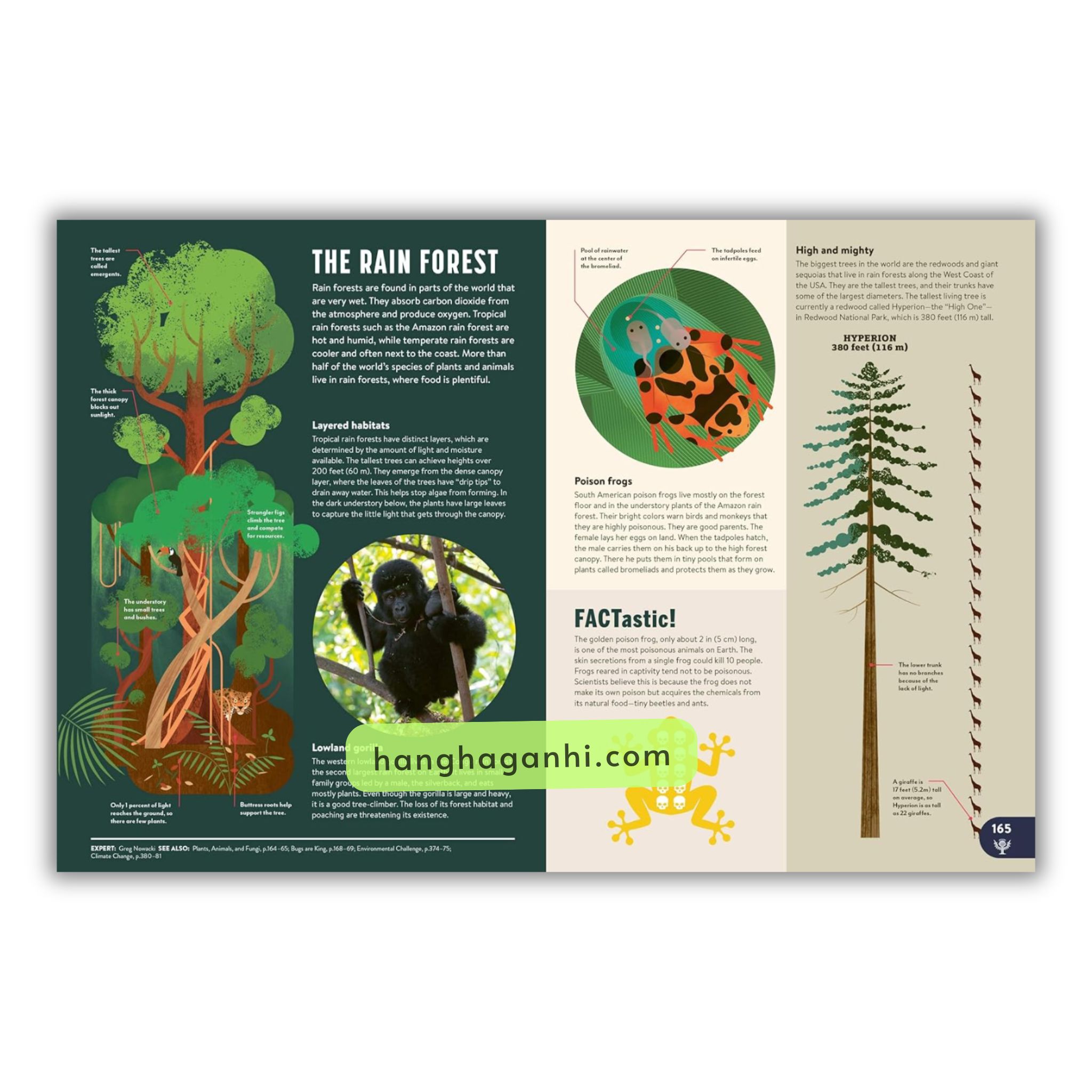 Sách Bách Khoa Toàn Thư Britannica All New – Children’s Encyclopedia_thumbnail_3