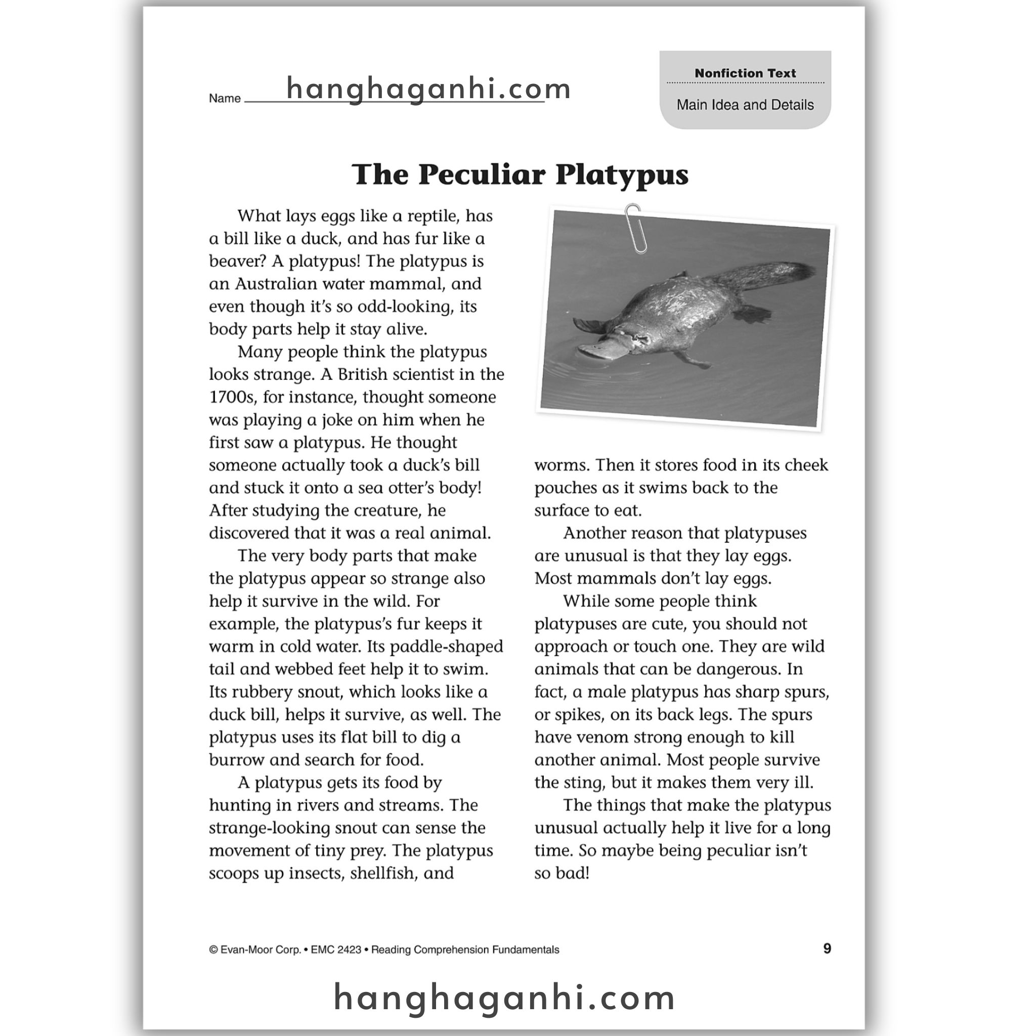 Reading Comprehension Fundamentals grade 3_thumbnail_9
