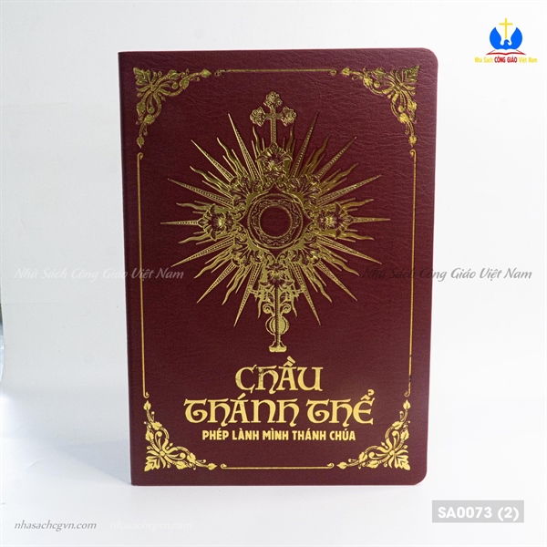 Chầu Thánh Thể Phép Lành Mình Thánh Chúa ✔_thumbnail_0