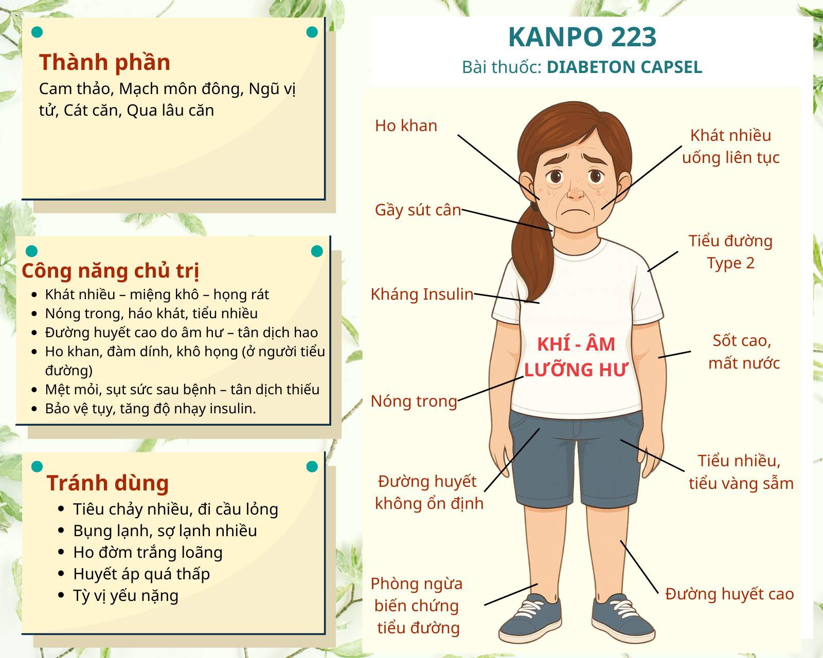Kanpo 223 - Hỗ trợ tiểu đường type 2