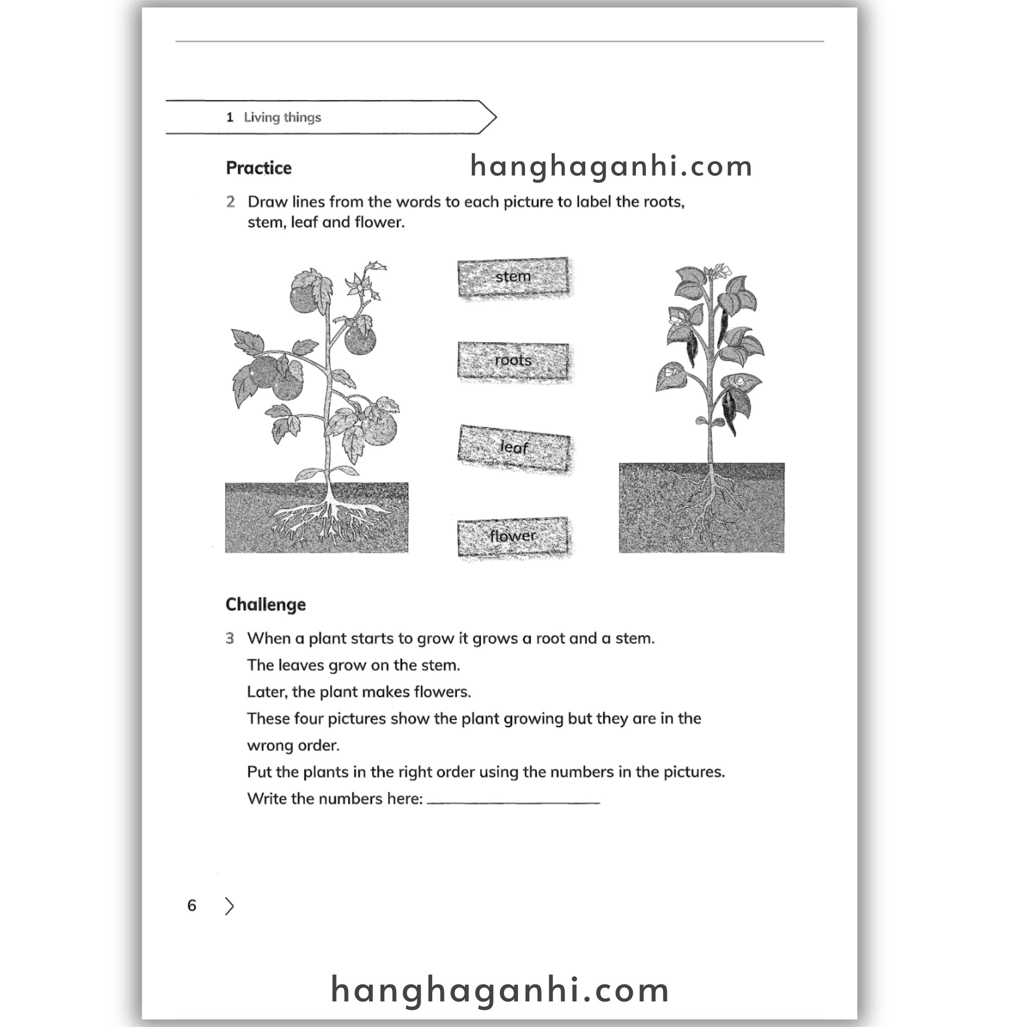 Cambridge Level 1 Primary Science Workbook 2nd edition 2021_thumbnail_2