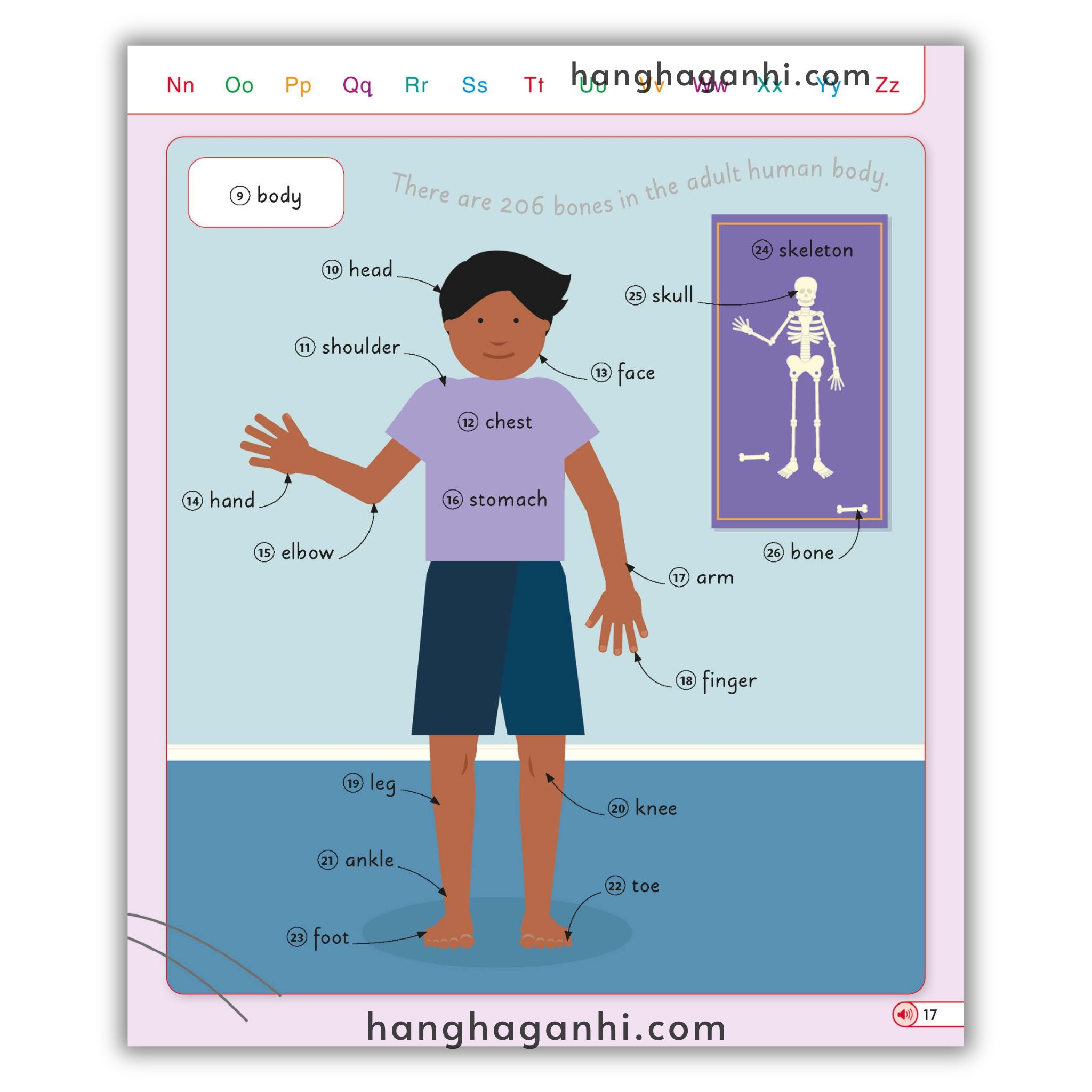 [Sách] English for Everyone Junior English Dictionary_thumbnail_8