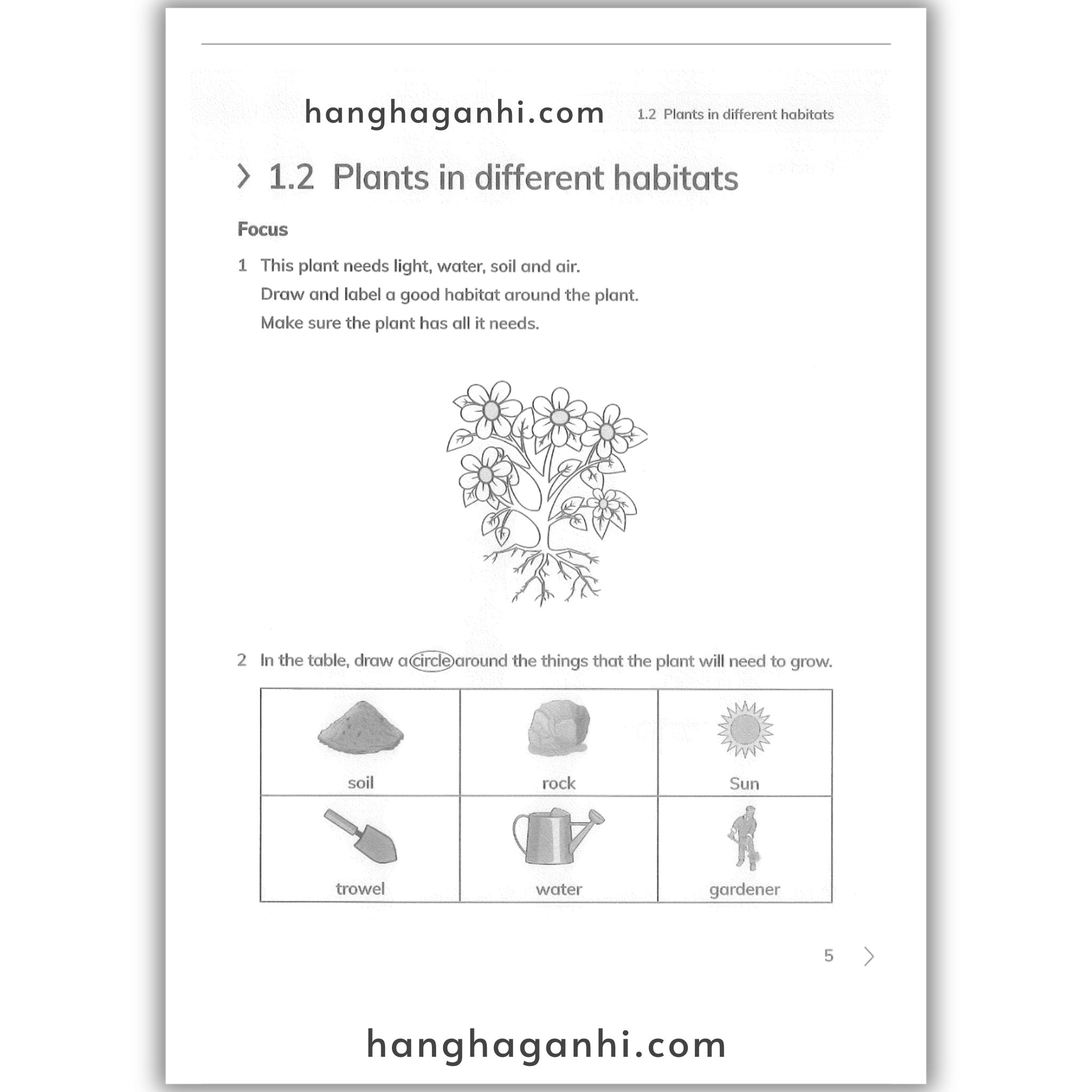 Cambridge Level 2 Primary Science Workbook 2nd edition 2021_thumbnail_1