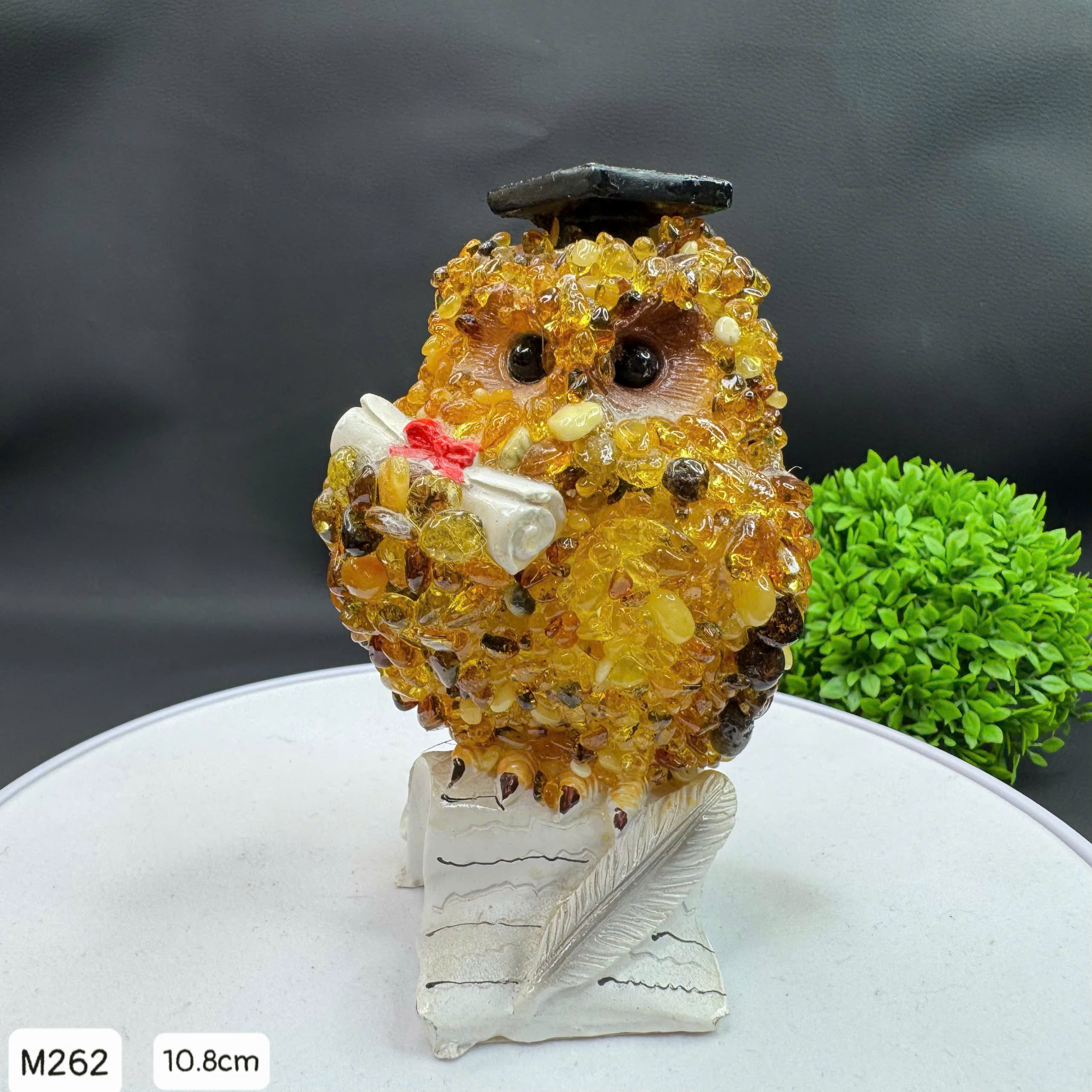 Cú Mèo Học Đường Hổ Phách Tự Nhiên - M262