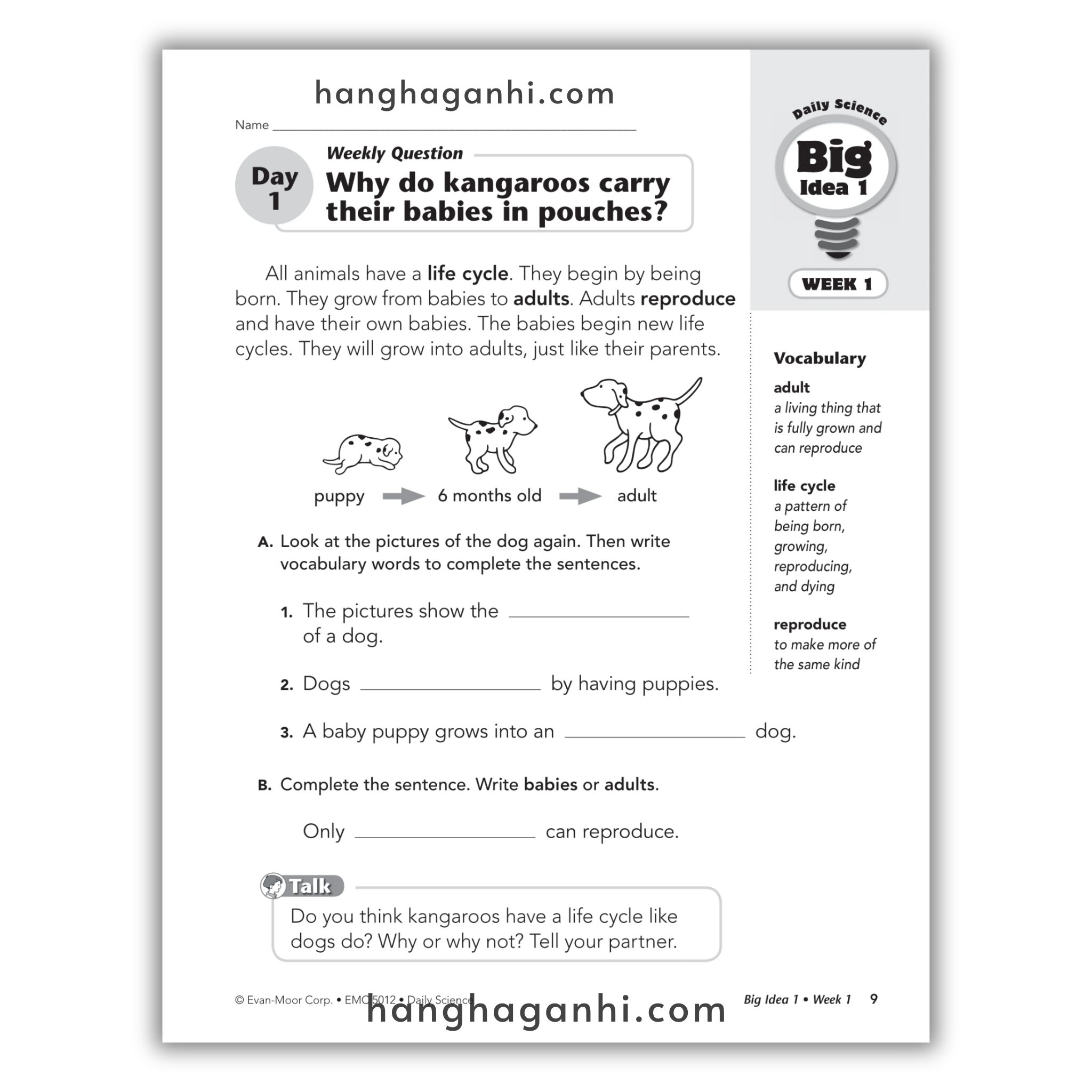 Daily Science Grade 2_thumbnail_16