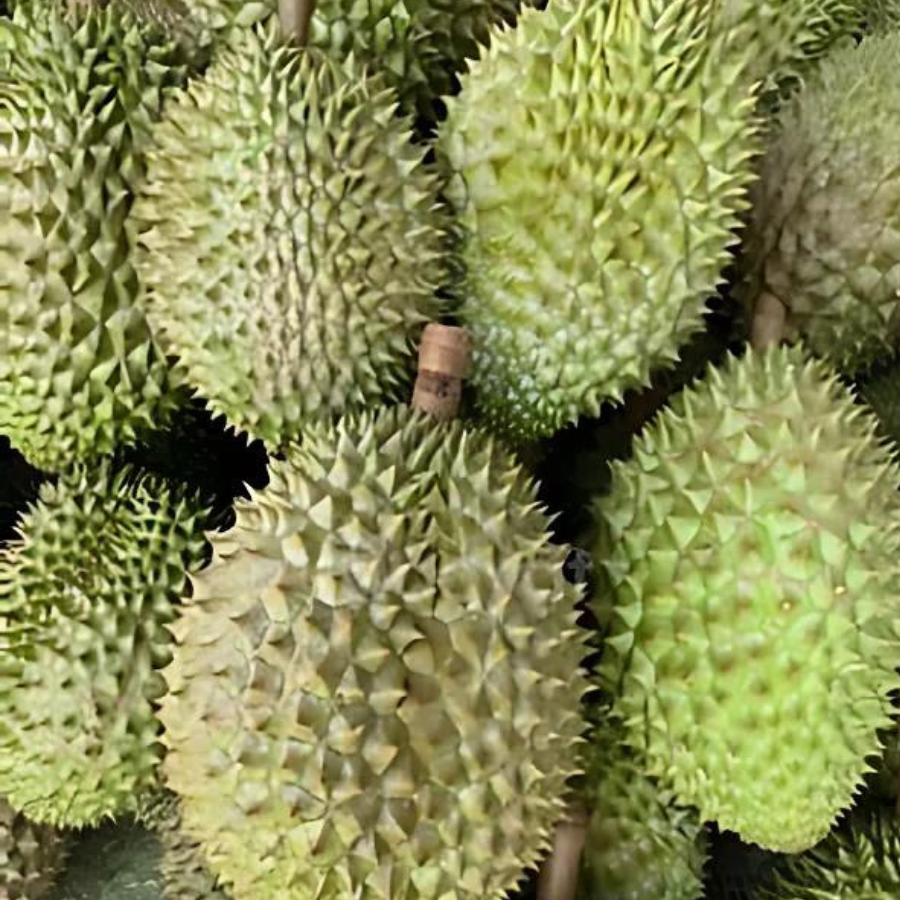 Trái Loại 1 - Sầu Riêng Ri6 MIỀN TÂY ( VIETGAP )_thumbnail_5