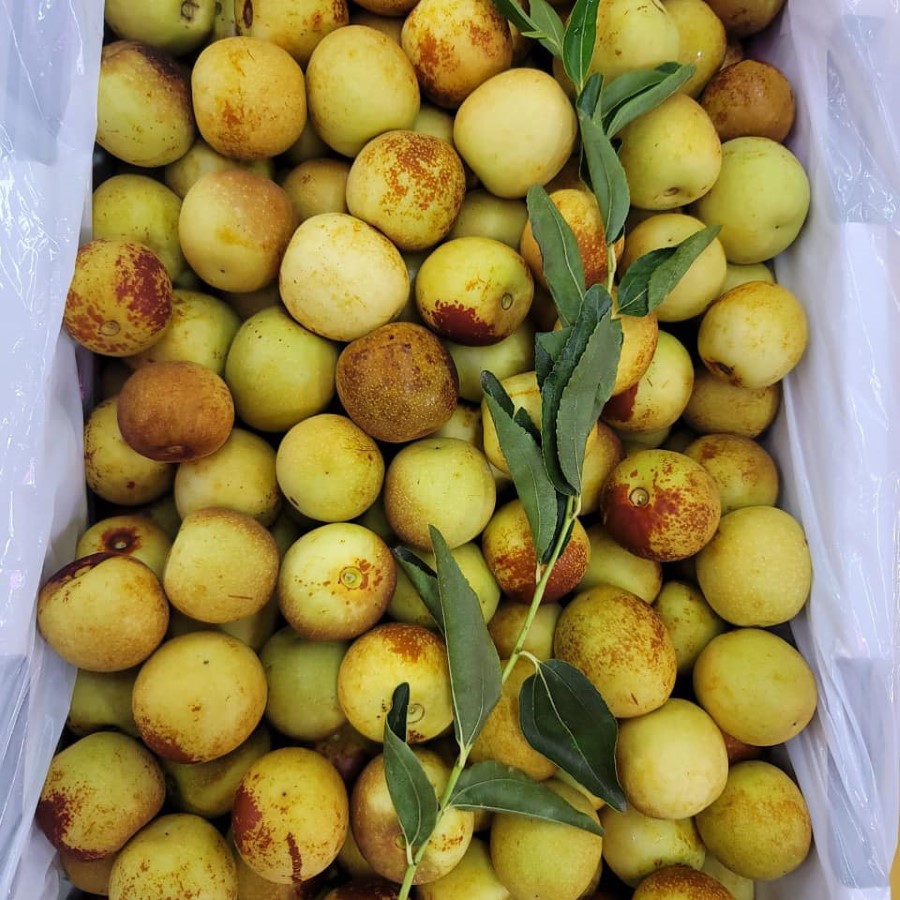 Hồng Táo Sữa Bò_thumbnail_2