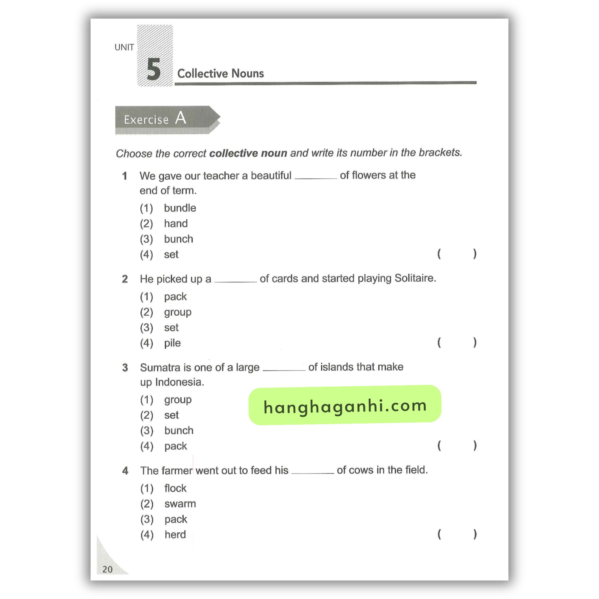 Scholastic Topical Grammar Practice Level 2 Complete and Systematic coverage of Grammar_thumbnail_3