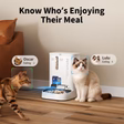 PETKIT YumShare Dual-hopper Automatic Pet Feeder with Camera_thumbnail_3