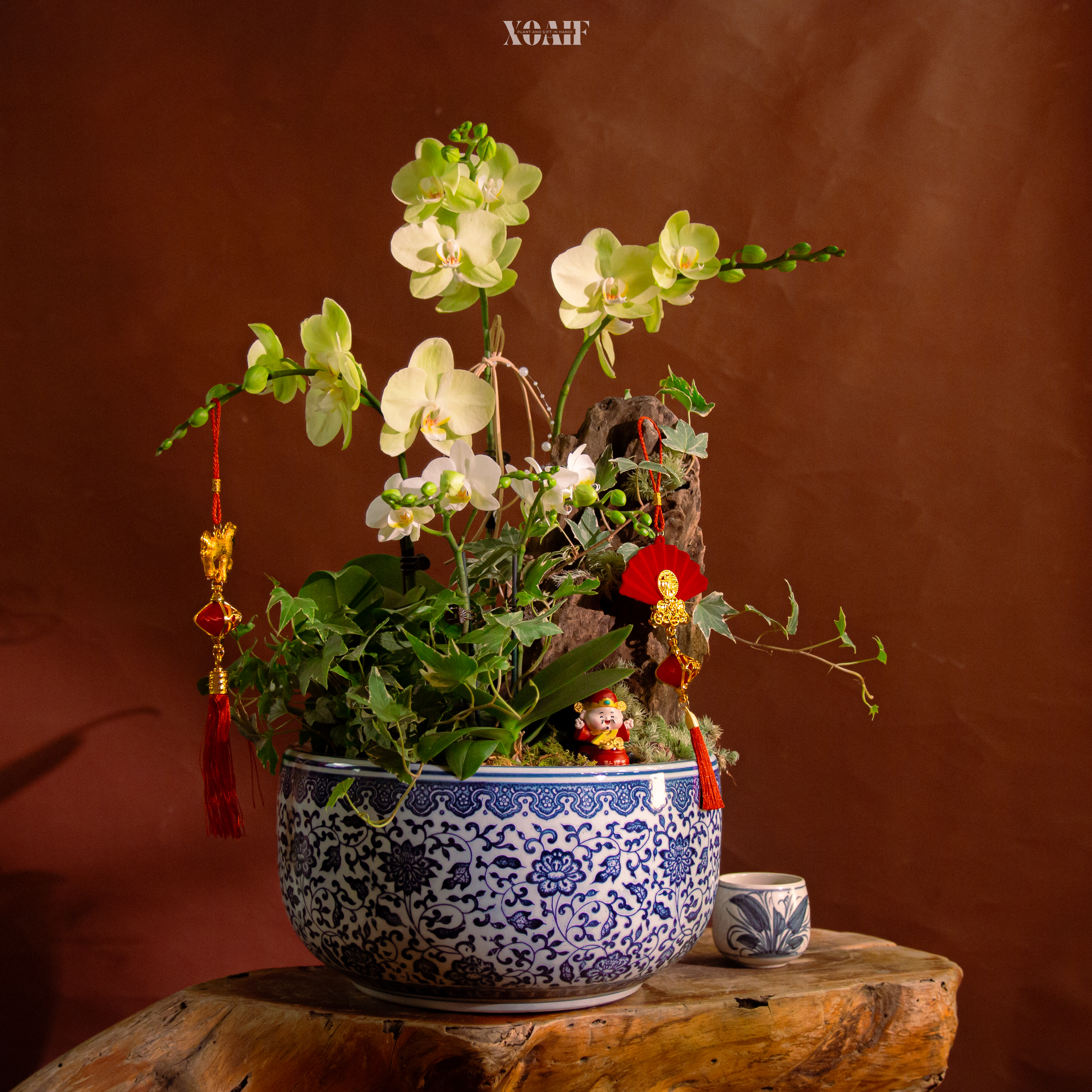 MEN CỔ AN TĨNH_thumbnail_2