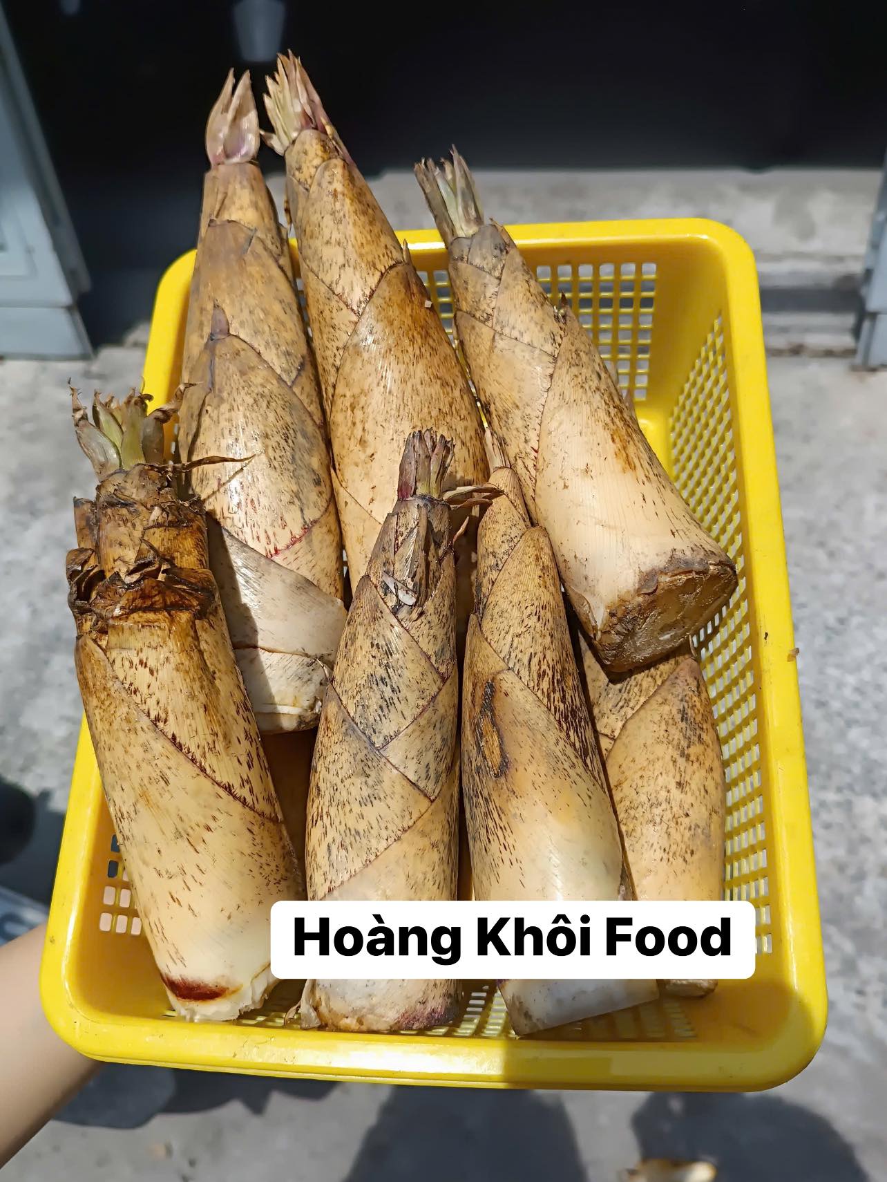 Măng Vầu Ngọt Tây Bắc_thumbnail_0
