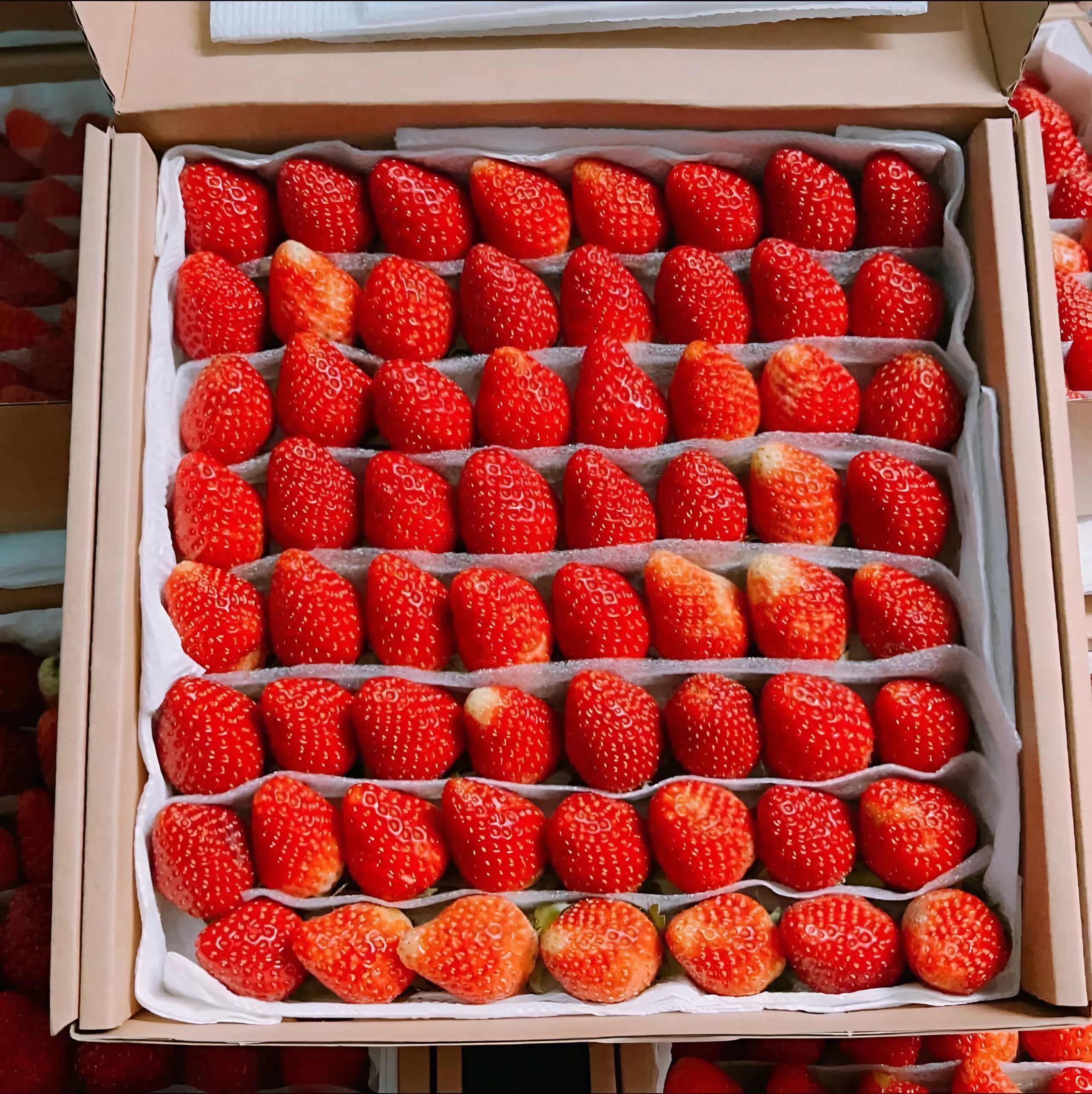 Dâu Sky Nhật_thumbnail_3